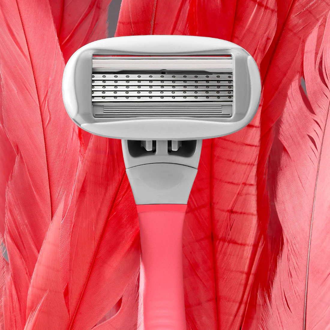 Shave & Dermaplane Starter Set - Image 36